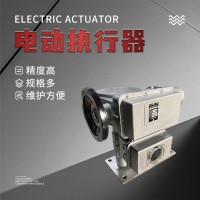 角行程电动执行器：SD-B+RS160-KF40H